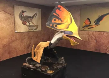 exposição do fóssil à vida no Cariri Shopping