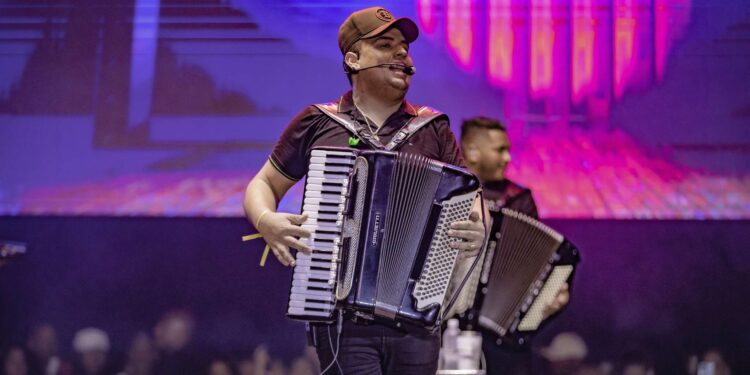 Chitão do Cedro 2024