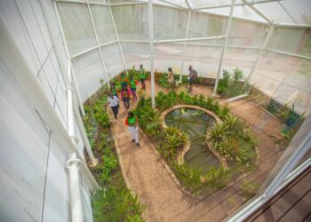 Borboletário do Cariri em Barbalha foi reaberto